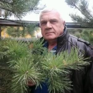 Вадим Белокур, 71 год, Омск
