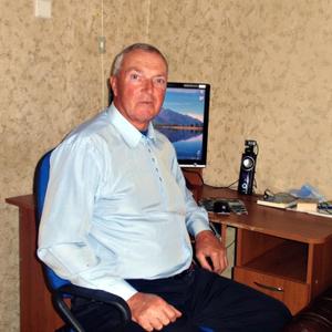 Геннадий Никлоз, 74 года, Москва
