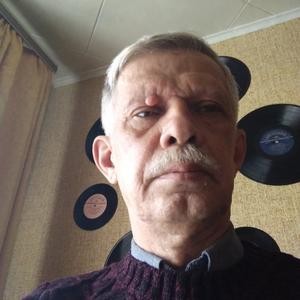 Виктор Солдатов, 65 лет, Щекино