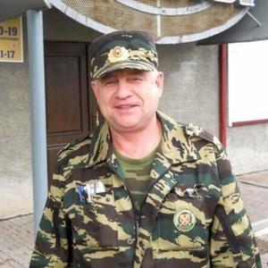 Сергей, 65 лет, Губаха