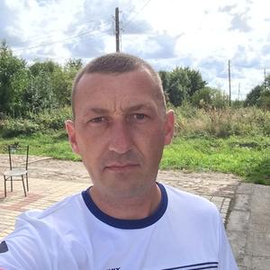 Алексей, 44 года, Советск