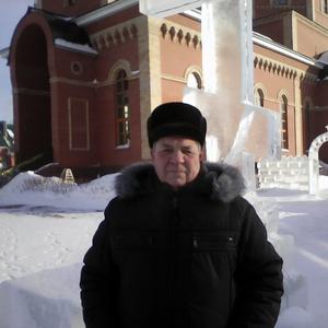 Николай Трынов, 64 года, Абдулино