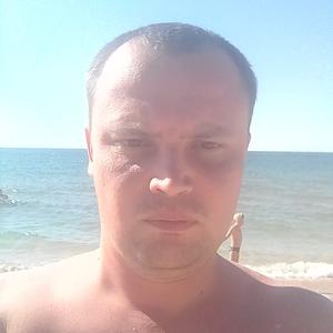 Барс, 36 лет, Красноярск