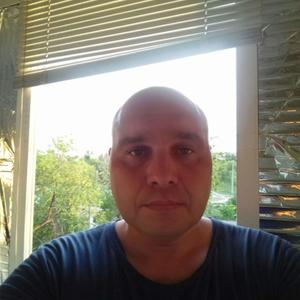 Владимир, 42 года, Камышин