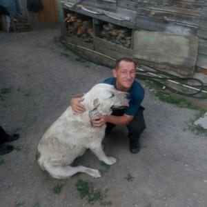Дима, 52 года, Каменск-Уральский