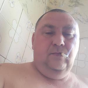 Роман, 52 года, Кострома
