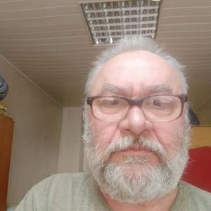 Александр, 65 лет, Камешково