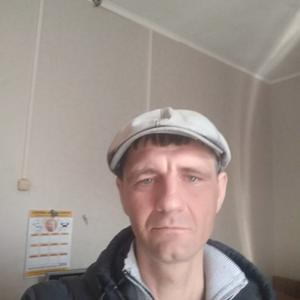 Сергей, 46 лет, Большой Камень