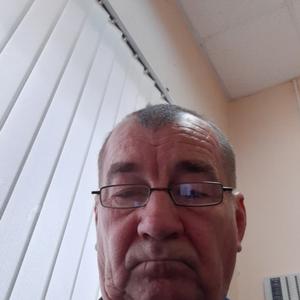 Владимир Живодров, 62 года, Мытищи