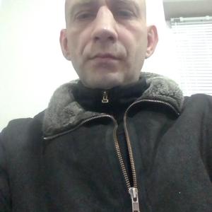 Сергей, 44 года, Владимир