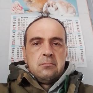 Артем, 38 лет, Краснодар