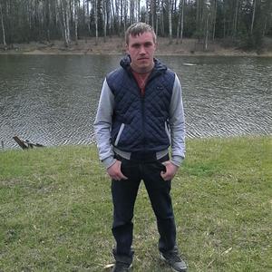 Святослав, 33 года, Владимир