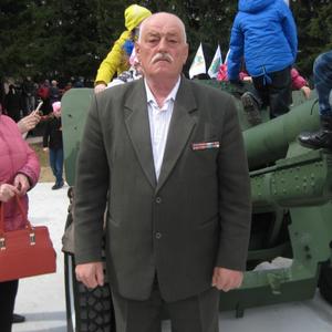 Александр, 67 лет, Томск