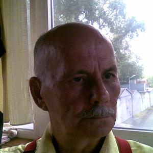 Николай, 63 года, Кемерово