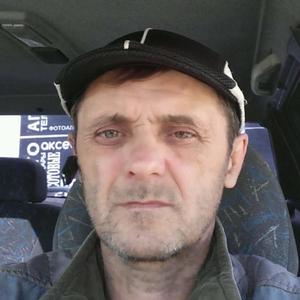 Владимир Елисеев, 54 года, Юрюзань