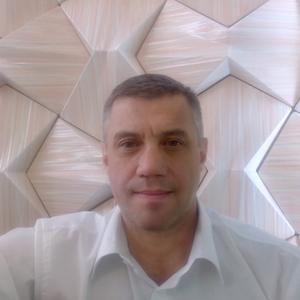 Александр Шестаков, 54 года, Нижний Новгород