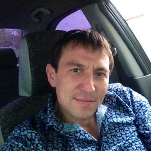 Константин, 44 года, Прохладный