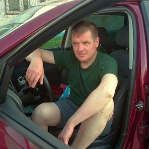 Сергей Чесноков, 48 лет, Киров