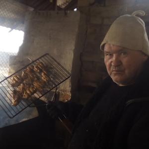 Наговицын Николай Александрович, 69 лет, Воткинск