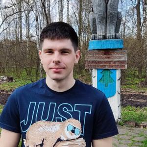 Сергей, 30 лет, Жуковский Сергей, 30 лет, Жуковский