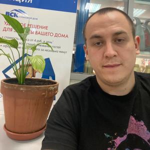 Ярослав, 32 года, Раменское