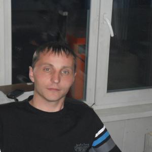 Владимир, 42 года, Коряжма