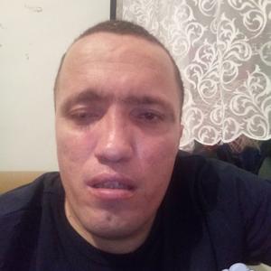 Парни в Шадринске: Sergey Vedernikov, 37 - ищет девушку из Шадринска