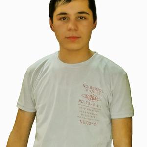 Николай, 26 лет, Дмитров