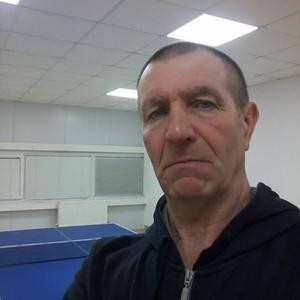 Владимир Гайганов, 68 лет, Пенза