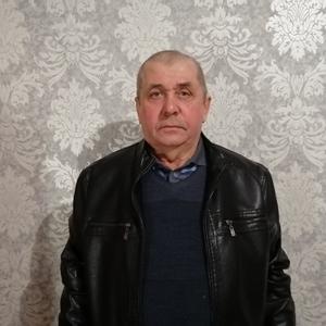 Владимир Борзенко, 68 лет, Еткуль