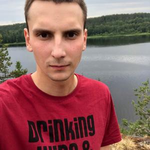 Николай, 24 года, Петрозаводск