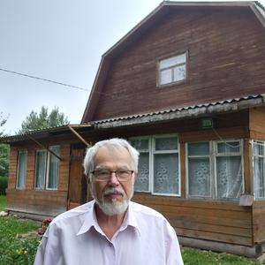 Виктор, 77 лет, Ярославль