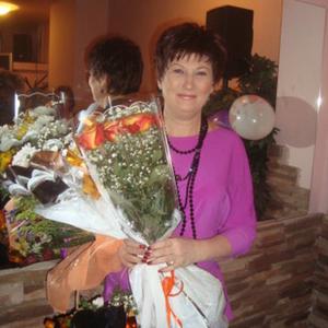Анна Шилова, 58 лет, Ярославль