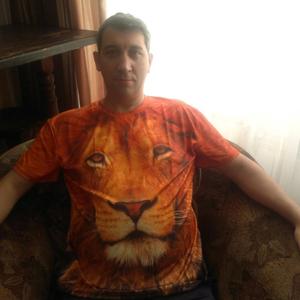 Евгений, 44 года, Братск
