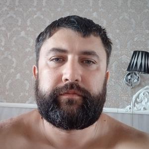 Котов, 41 год, Брянск