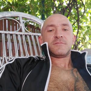 Олег, 40 лет, Брест