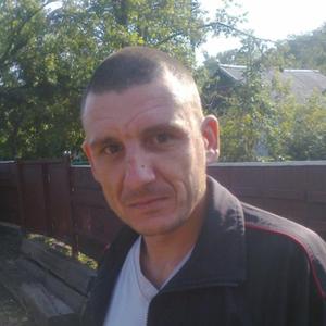 Дима, 42 года, Москва