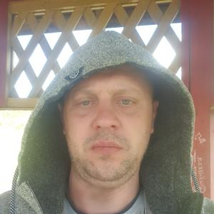 Пётр, 42 года, Витебск