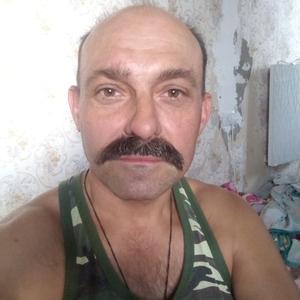 Алексей, 55 лет, Таруса