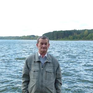 Юрий Палкичев, 73 года, Санкт-Петербург