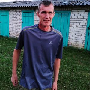 Андрей, 45 лет, Владимир