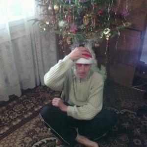 Геннадий, 67 лет, Касимов