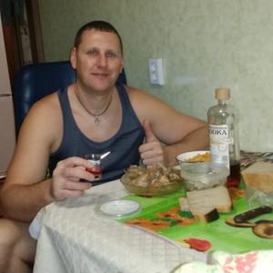 Александр, 43 года, Курск