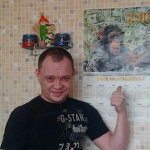 Александр Павлов, 58 лет, Гатчина