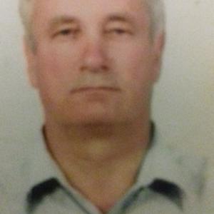 Николай, 67 лет, Курск