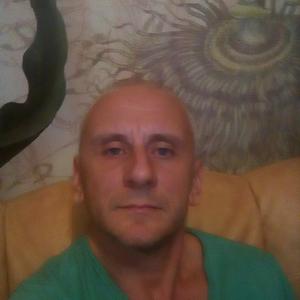 Денис, 45 лет, Каменск-Шахтинский