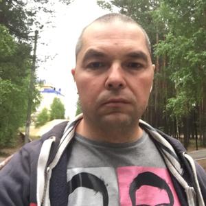 Дмитрий, 44 года, Советский