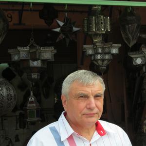 Михаил, 74 года, Москва