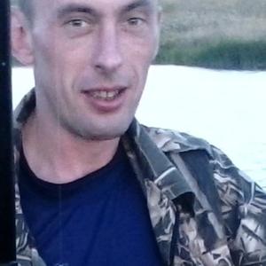 Александр, 44 года, Юрьев-Польский