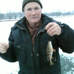 Юрий Мокротоваров, 71 год, Воронеж